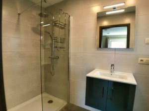 badkamer met WC, wastafel en inloopdouche.