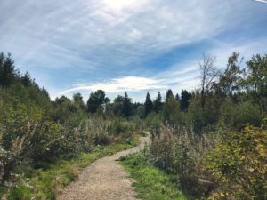 Weer fotos Bütgenbach / 11 september 2018
