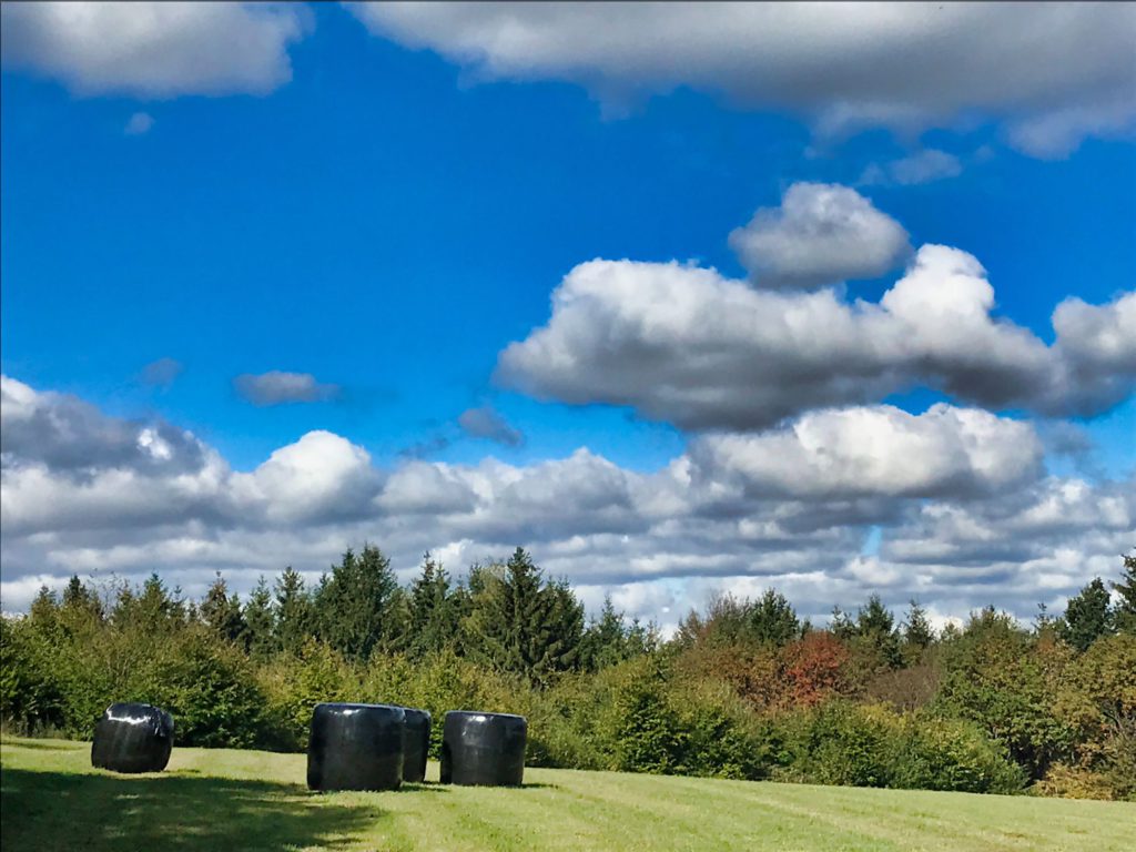 Weerfotos Bütgenbach / 25 September