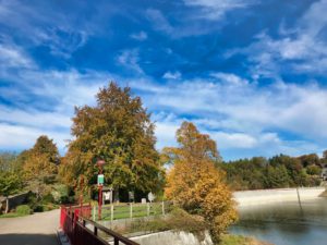 Fijn herfstweer in Bütgenbach