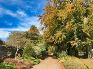 Fijn herfstweer in Bütgenbach