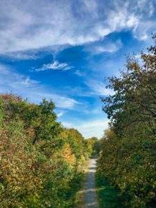 Fijn herfstweer in Bütgenbach