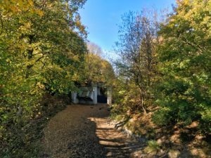 Herfst in de Ardennen / Eifel