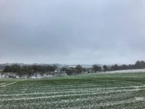 De eerste sneeuw in de Ardennen