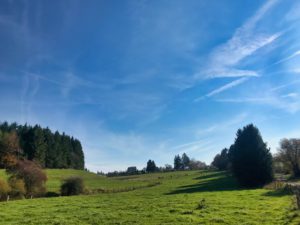 Herfst
