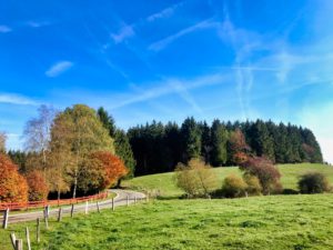 Herfst