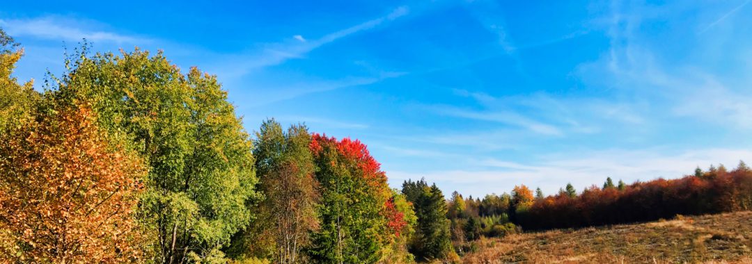 Herfst
