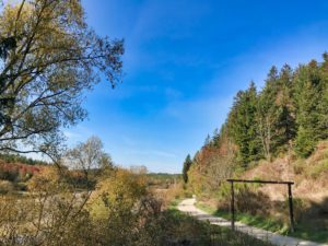 Herfst