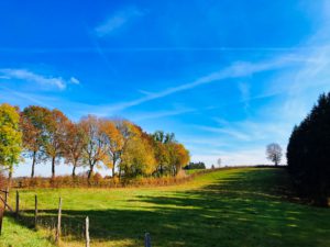 Herfst