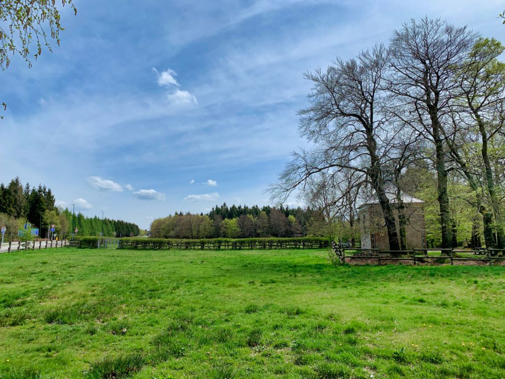Lente / Printemps / Frühjahr / Spring (Fotos: Ardennes + Hautes Fagnes)