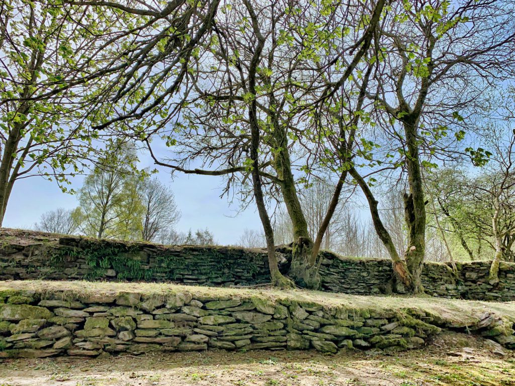 Lente / Printemps / Frühjahr / Spring (Fotos: Ardennes + Hautes Fagnes)