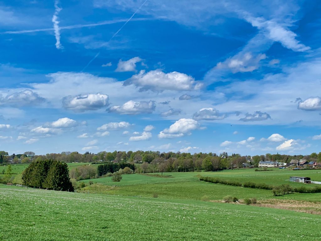 Lente / Printemps / Frühjahr / Spring (Fotos: Ardennes + Hautes Fagnes)