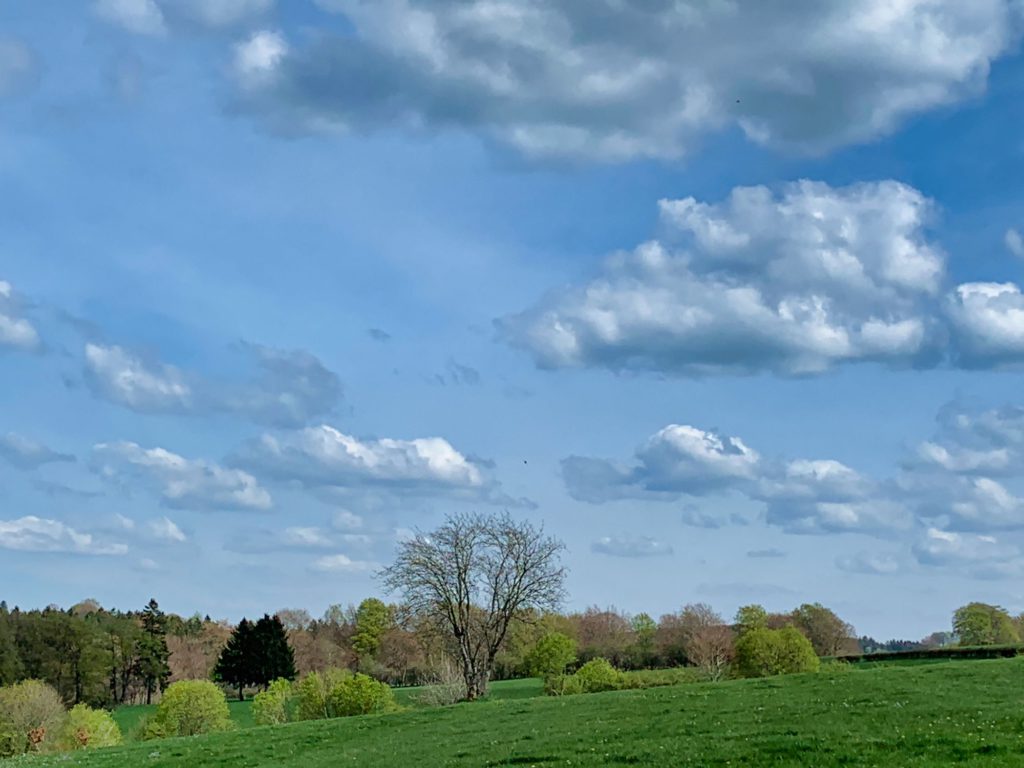 Lente / Printemps / Frühjahr / Spring (Fotos: Ardennes + Hautes Fagnes)