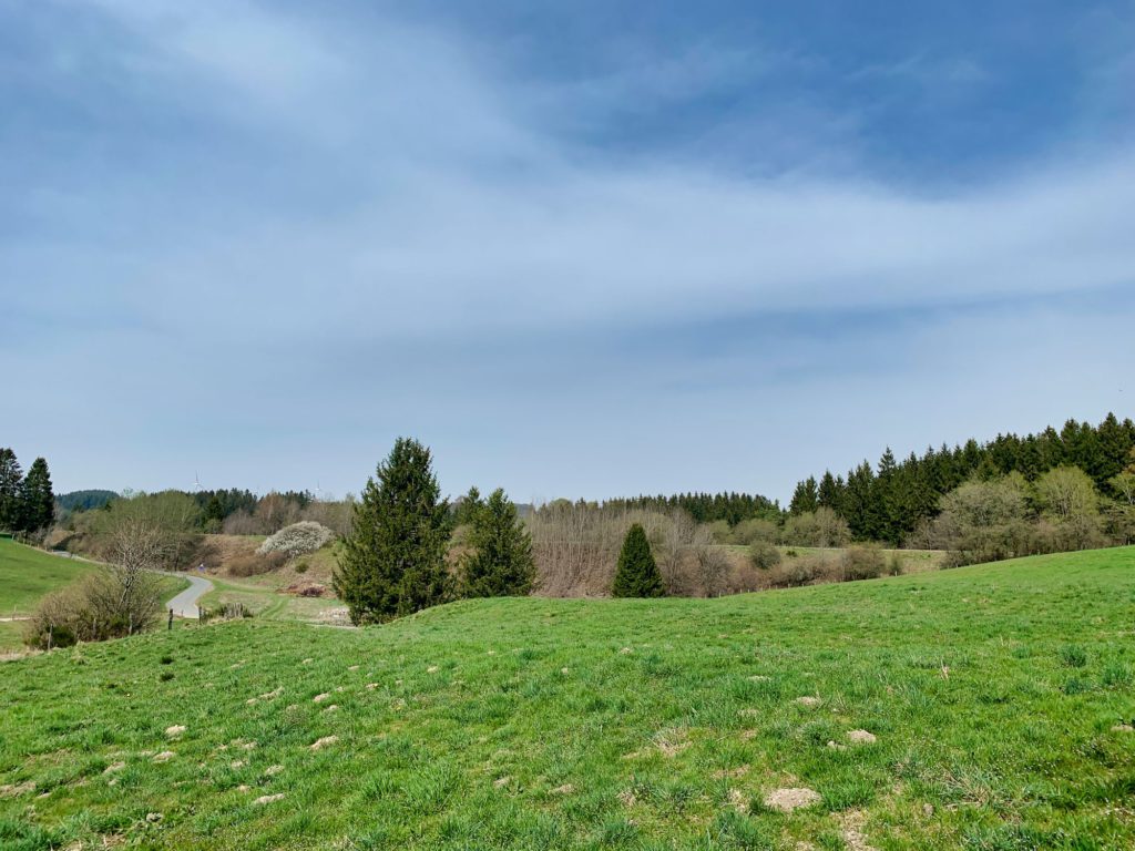 Lente / Printemps / Frühjahr / Spring (Fotos: Ardennes + Hautes Fagnes)